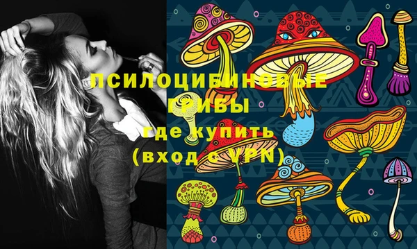 кокс Алексин