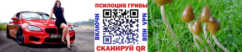 Галлюциногенные грибы прущие грибы  магазин  наркотиков  Болотное 